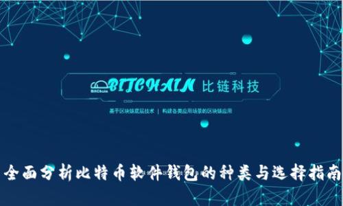 全面分析比特币软件钱包的种类与选择指南