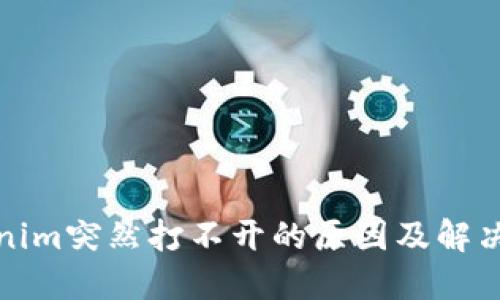 Tokenim突然打不开的原因及解决办法
