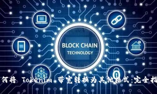 如何将 Tokenim 带宽转换为其他格式：完全指南