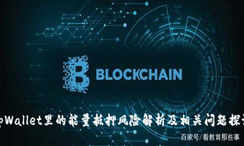 tpWallet里的能量抵押风险解析及相关问题探讨