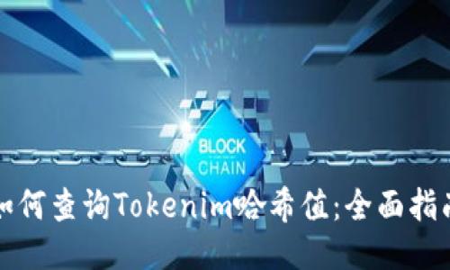 如何查询Tokenim哈希值：全面指南