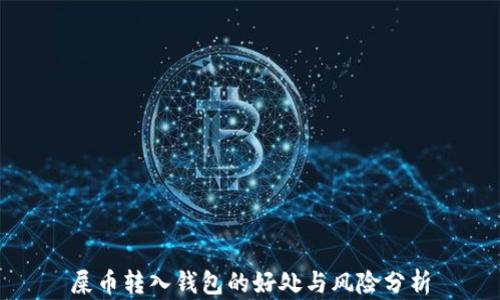 
屎币转入钱包的好处与风险分析