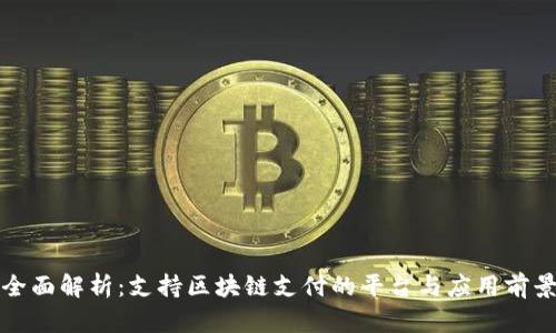 全面解析：支持区块链支付的平台与应用前景