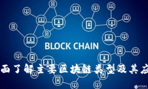 全面了解主要区块链类型及其应用