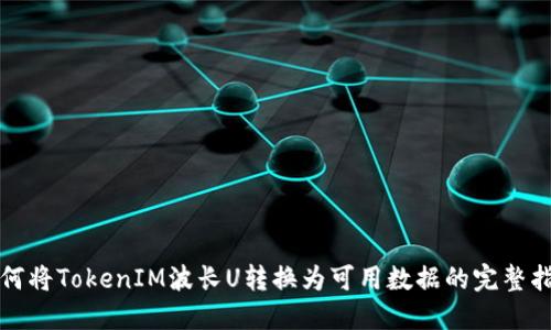 如何将TokenIM波长U转换为可用数据的完整指南