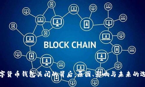 数字货币钱包关闭的背后：原因、影响与未来的选择