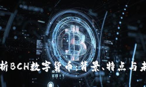 深入解析BCH数字货币：背景、特点与未来前景