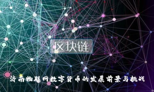 济南物联网数字货币的发展前景与挑战