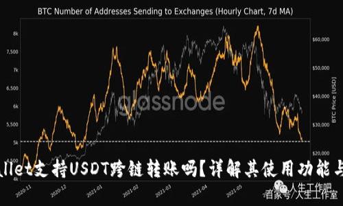 tpWallet支持USDT跨链转账吗？详解其使用功能与技巧
