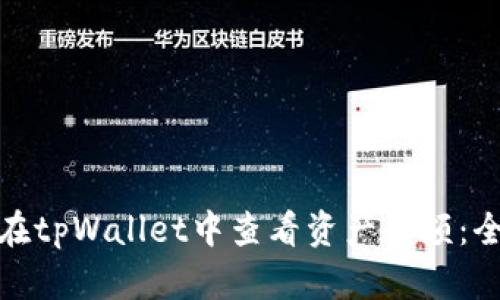 : 如何在tpWallet中查看资产余额：全面指南