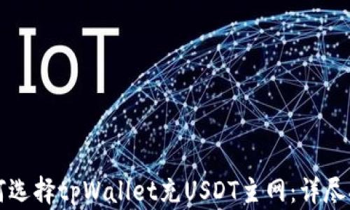
如何选择tpWallet充USDT主网：详尽指南