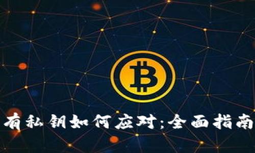 : tp钱包没有私钥如何应对：全面指南与解决方案