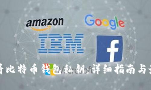 如何查看比特币钱包私钥：详细指南与最佳实践