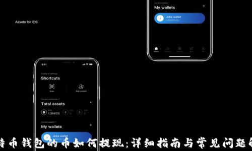比特币钱包的币如何提现:详细指南与常见问题解答