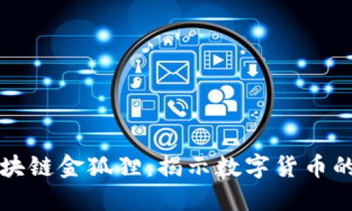 比特币区块链金狐狸：揭示数字货币的潜在未来