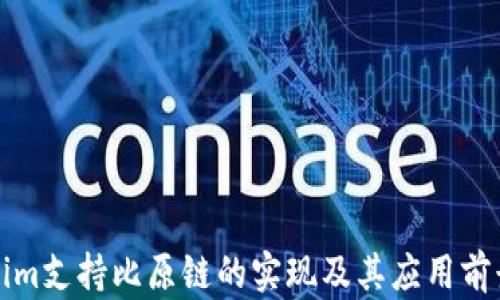 
Tokenim支持比原链的实现及其应用前景分析