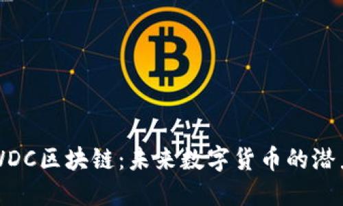 污点币WDC区块链：未来数字货币的潜力与挑战