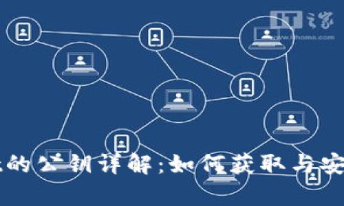 tpWallet的公钥详解:如何获取与安全性分析