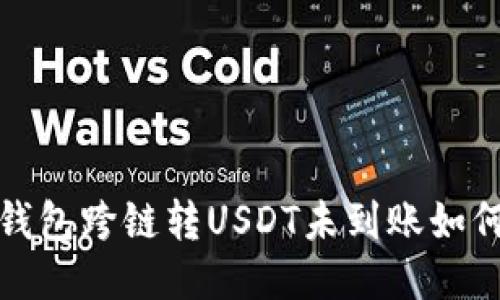 : TP钱包跨链转USDT未到账如何处理