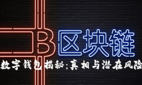 中国数字钱包揭秘：真相与潜在风险分析