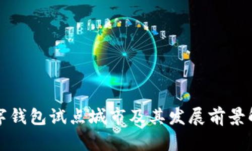 数字钱包试点城市及其发展前景解析