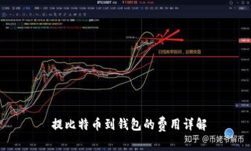  提比特币到钱包的费用详解