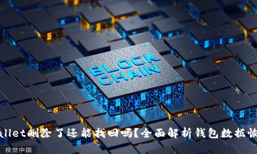 : tpWallet删除了还能找回吗？全面解析钱包数据恢复方法