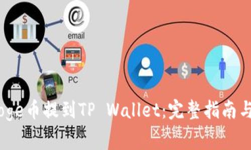 如何将BabyDoge币提到TP Wallet：完整指南与常见问题解析