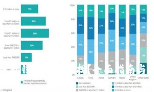 区块链电脑钱包在哪里找？全面指南与实用建议
