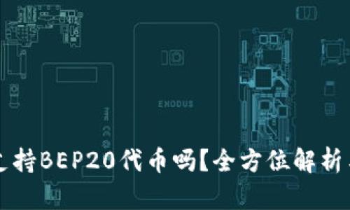 tpWallet支持BEP20代币吗？全方位解析与使用指南