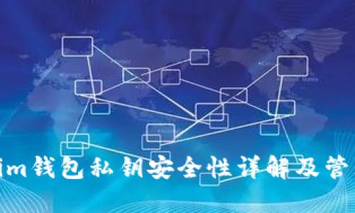 Tokenim钱包私钥安全性详解及管理建议