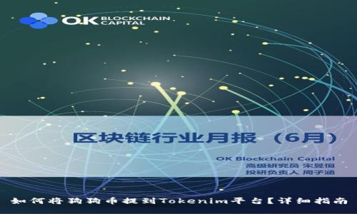 如何将狗狗币提到Tokenim平台？详细指南
