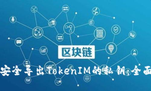 如何安全导出TokenIM的私钥：全面指南