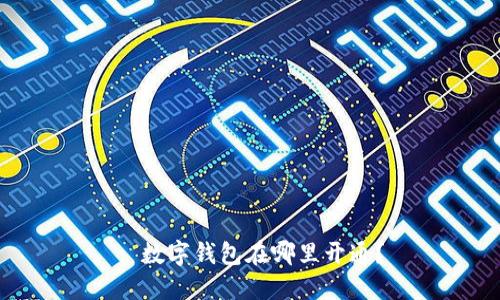 : 数字钱包在哪里开通？