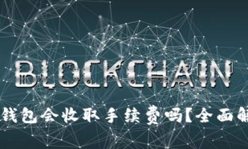 : 将SHIB放入钱包会收取手续费吗？全面解析与实用指南