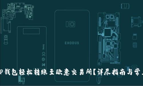 如何通过TP钱包轻松转账至欧意交易所?详尽指南与常见问题解答