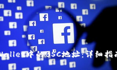 如何找到苹果tpWallet中的BSC地址：详细指南与常见问题解析