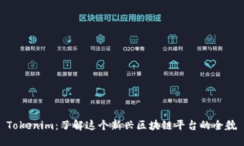 Tokenim：了解这个新兴区块链平台的全貌