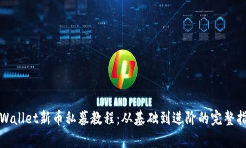 tpWallet新币私募教程：从基础到进阶的完整指南