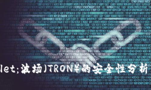 探索tpWallet：波场（TRON）的安全性分析与保障机制