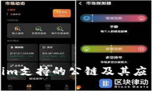Tokenim支持的公链及其应用分析