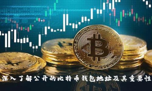 深入了解公开的比特币钱包地址及其重要性