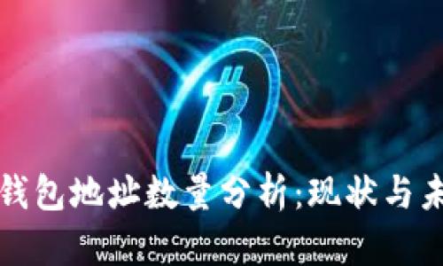 比特币钱包地址数量分析：现状与未来趋势