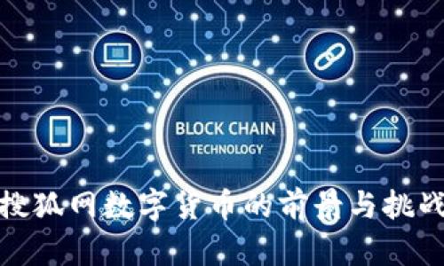 搜狐网数字货币的前景与挑战