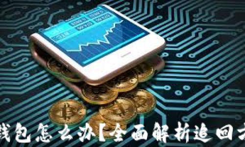 
虚拟币转错了钱包怎么办？全面解析追回方法与防范措施