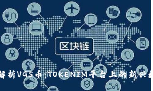 : 深度解析VGS币：TOKENIM平台上的新兴数字资产