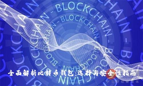 全面解析比特币钱包：选择与安全性指南