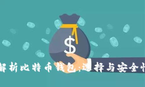 全面解析比特币钱包：选择与安全性指南