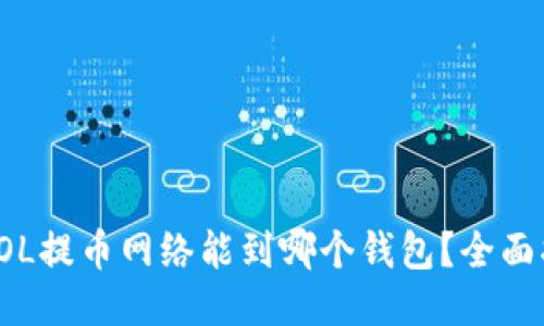 : SOL提币网络能到哪个钱包？全面指南