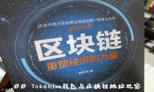  

## Tokenim钱包与区块链地址观察